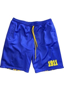  Omega Reversible Mesh Shorts