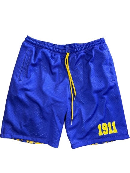 Omega Reversible Mesh Shorts